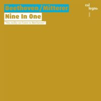 Ludwig van Beethoven / Wolfgang Mitterer. Nine in One