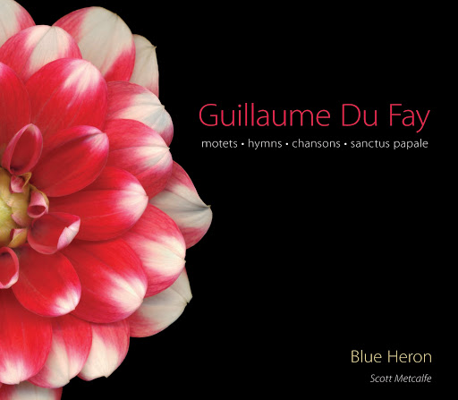 Guillaume Du Fay: Motets, Hymns, Chansons, Sanctus Papale