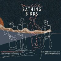 Marcel & The Bathing Birds: Tweet [2020]