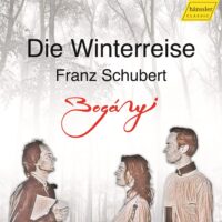 Winterreise / Trio Bogányi