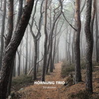 Hornung Trio – Strukturen
