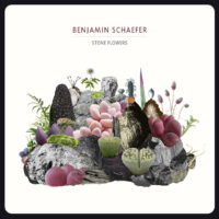 Benjamin Schaefer – Stone Flowers