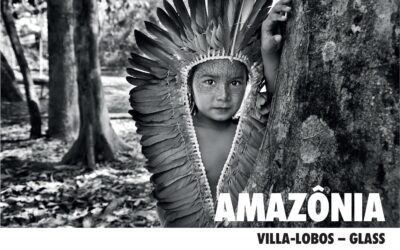 Amazonia / Simone Menezes