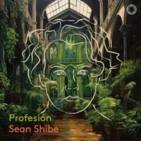 Profesión / Sean Shibe