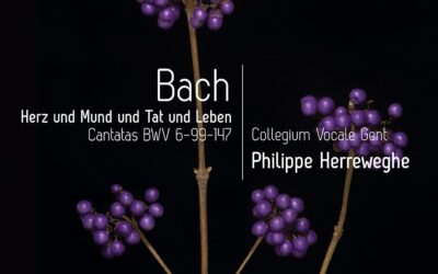 Collegium Vocale Gent / Philippe Herreweghe