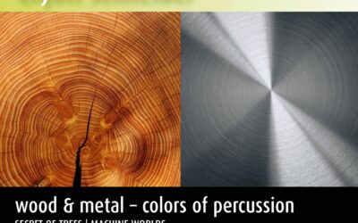 Enjott Schneider / wood & metal