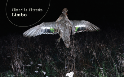 Viktoriia Vitrenko – Limbo