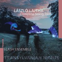 Flash Ensemble