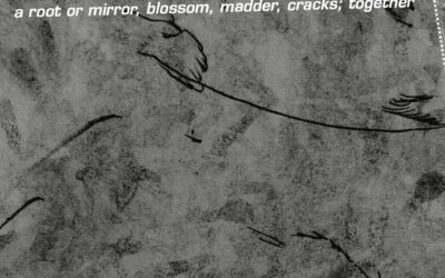 Bruton & Doell – a root or mirror, blossom, madder, cracks; together