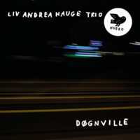 Liv Andrea Hauge Trio – Døgnville