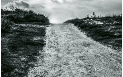 Sinopoulos / Keerim – Topos