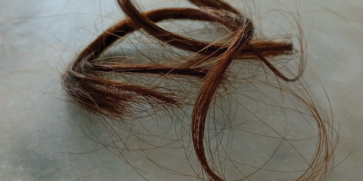 Igor Ballereau – UMWeLT