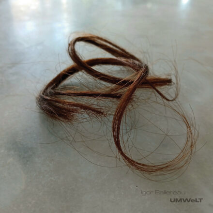 Igor Ballereau – UMWeLT